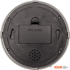 IP-камера Rexant 45-0200 (3203)