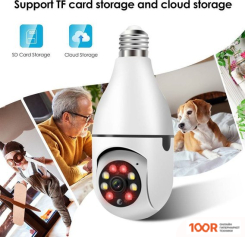 IP-камера Orient WF-306 (3191)