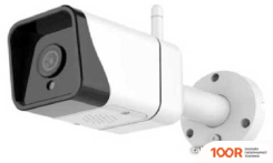 IP-камера Orient WF-205 (3189)