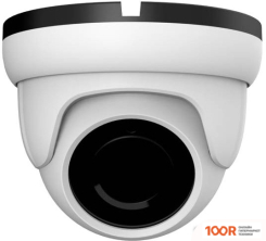 IP-камера Orient IP-951-SH5BPSD MIC (3181)