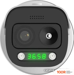 IP-камера Orient IP-20-SH5CPSDHT MIC (3139)