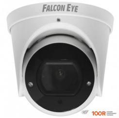 IP-камера Falcon Eye FE-IPC-DV2-40PA (2305)
