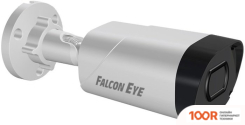 IP-камера Falcon Eye FE-IPC-BV5-50PA (2298)