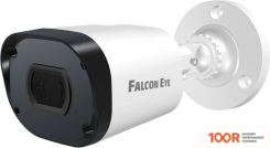IP-камера Falcon Eye FE-IPC-BV2-50PA (2297)