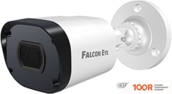IP-камера Falcon Eye FE-IPC-B5-30PA (2295)