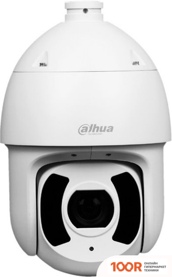 IP-камера Dahua DH-SD6CE245XA-HNR (2083)