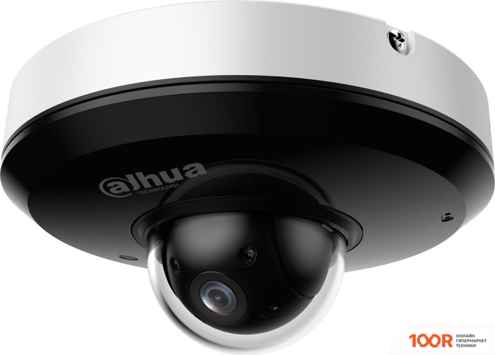 IP-камера Dahua DH-SD1A404DB-GNY (2033)