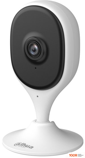 IP-камера Dahua DH-IPC-C3AP (1312)
