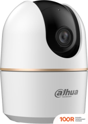 IP-камера Dahua DH-H4A (1309)