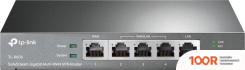 Модем TP-Link TL-R605 (1273)
