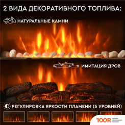 Planta PFP-WM090 MIRROR (322500)