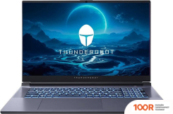 Ноутбук Thunderobot 911 PLUS SD JT009800KRU (415190)