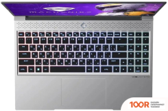 Ноутбук Machenike L16 PRO STELLAR S JJ00GN00FRU (414689)