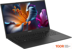 Ноутбук IRBIS 15NBP3511 (413824)