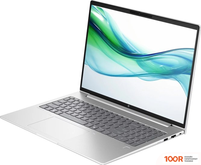 Ноутбук HP PROBOOK 460 G11 8Z677AV (413737)