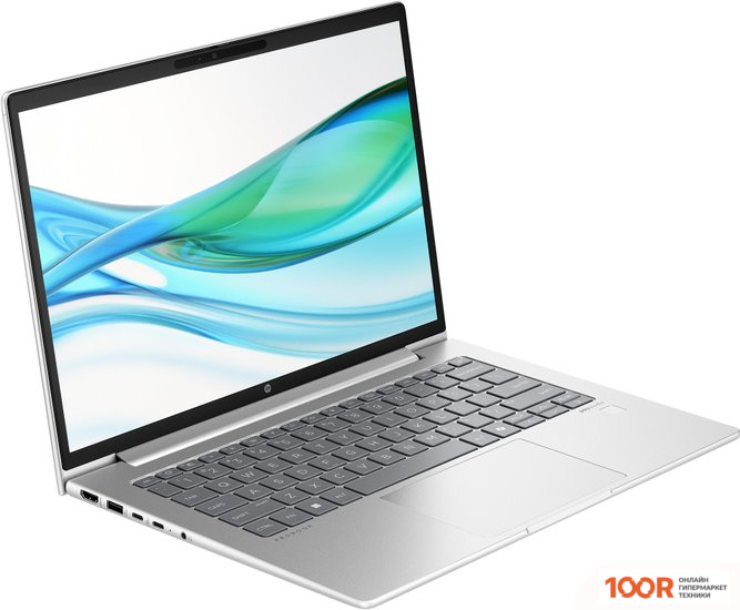 Ноутбук HP PROBOOK 445 G11 8Z9P6AV (413710)
