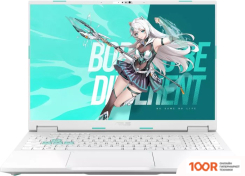 Ноутбук ASUS TUF GAMING TIANXUAN F16 FX608LP275-0ECFXHB8X10 (412793)