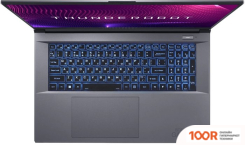 Ноутбук Thunderobot 911 PLUS X JT009WE07RU (215946)